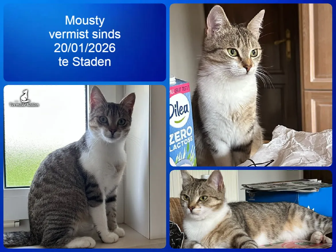 Mousty