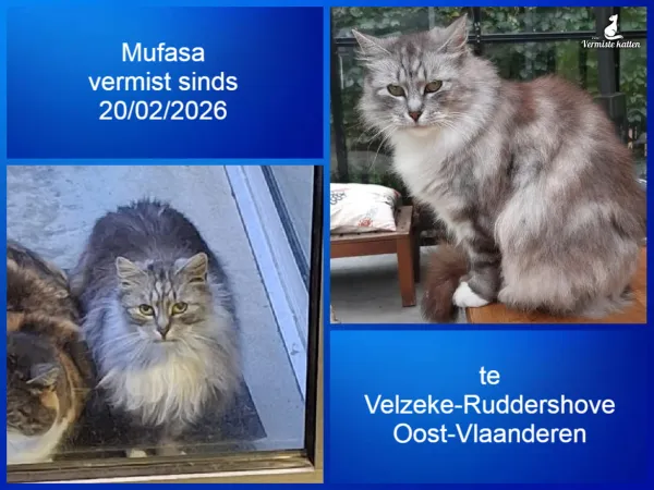 Mufasa