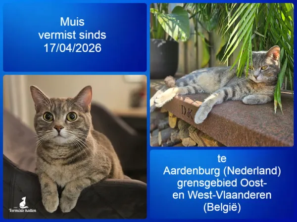 Muis