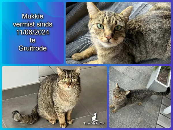 Mukkie
