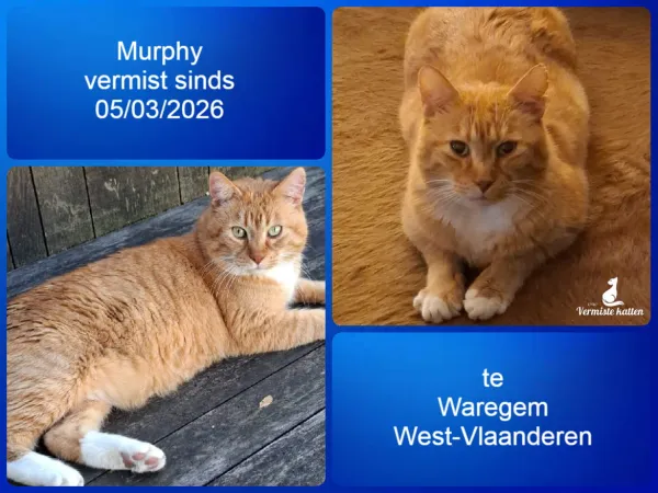 Murphy