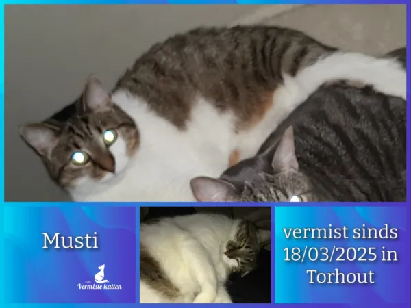 Musti