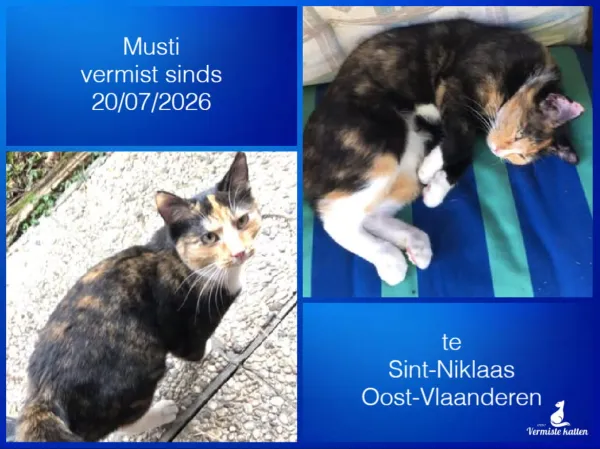 Musti