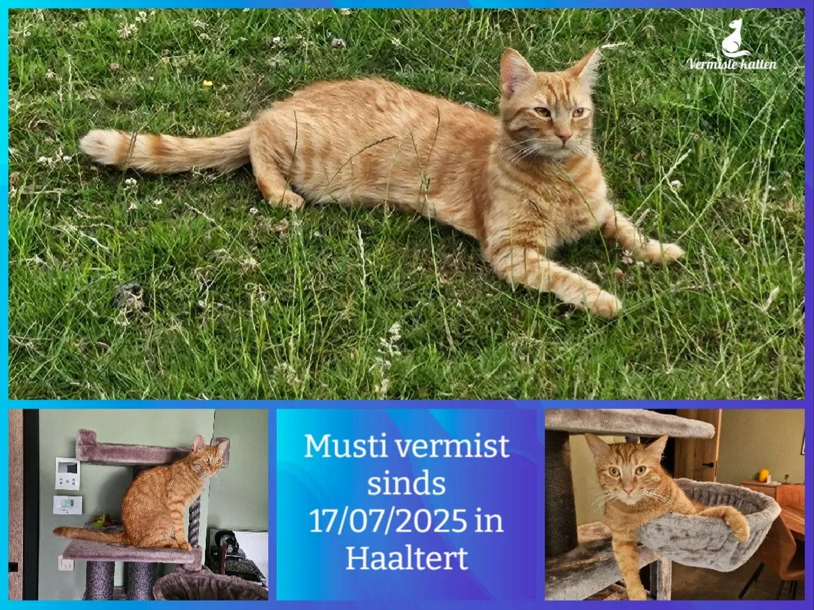 Musti