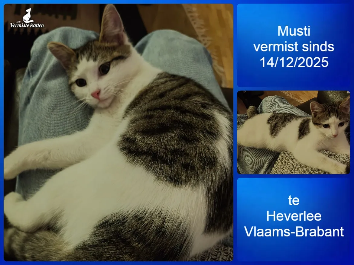 Musti