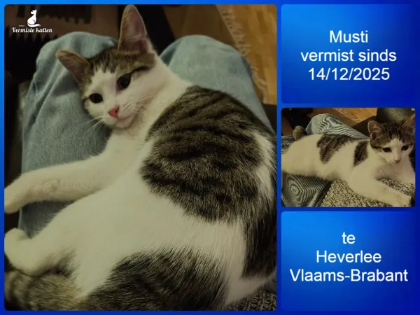 Musti