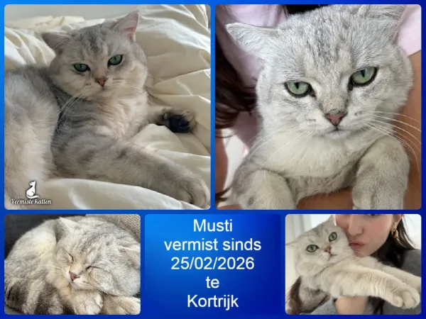 Musti