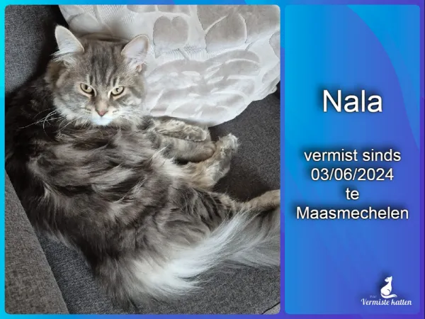 Nala