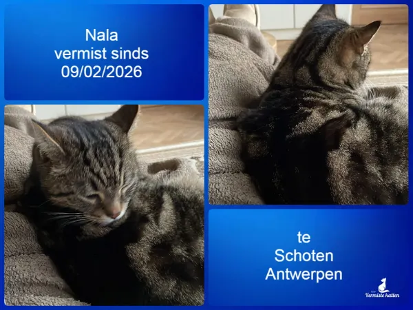 Nala