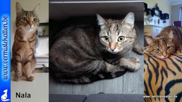 NALA
