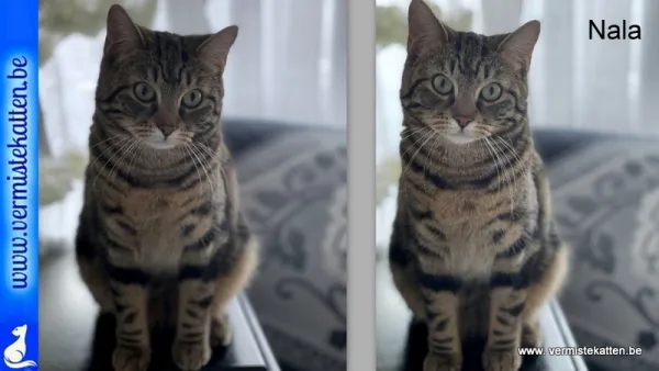 Nala