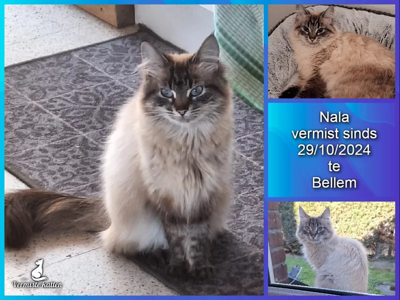 Nala