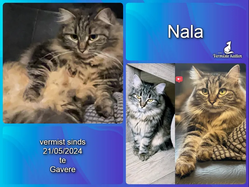Nala