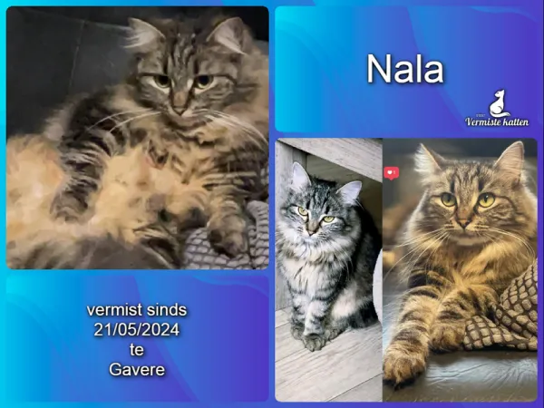 Nala