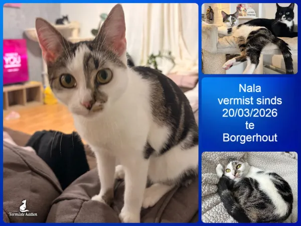 Nala