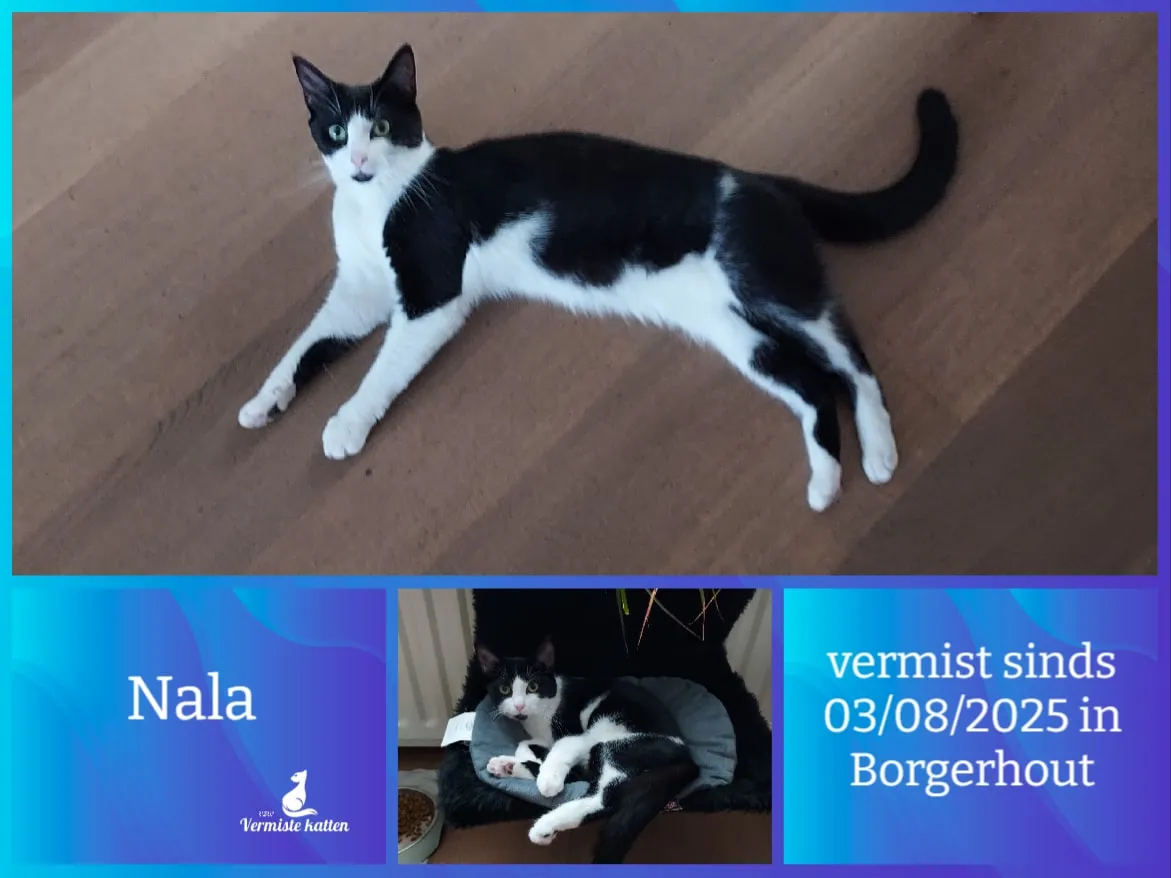 Nala