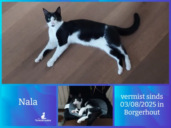 Nala