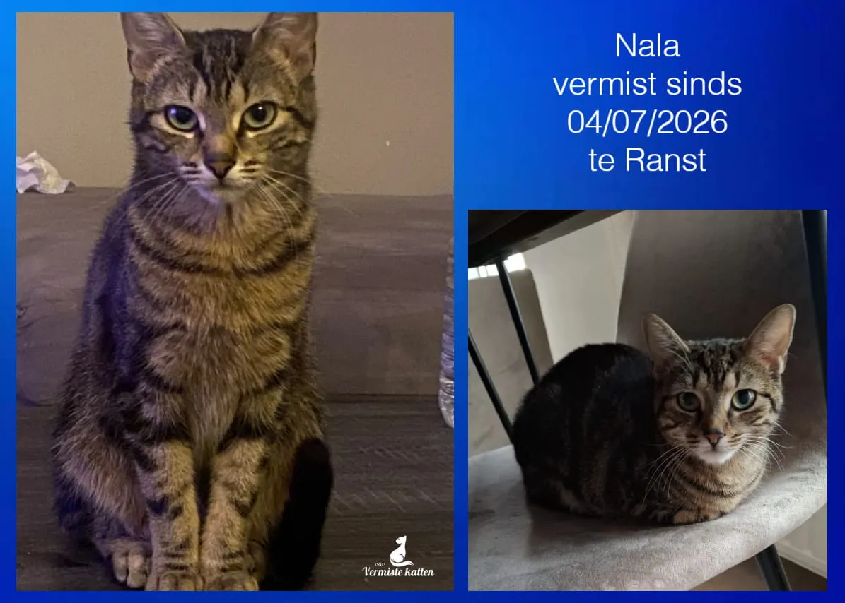 Nala