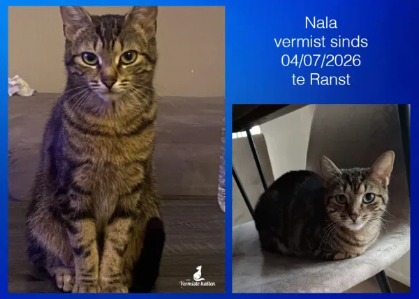 Nala