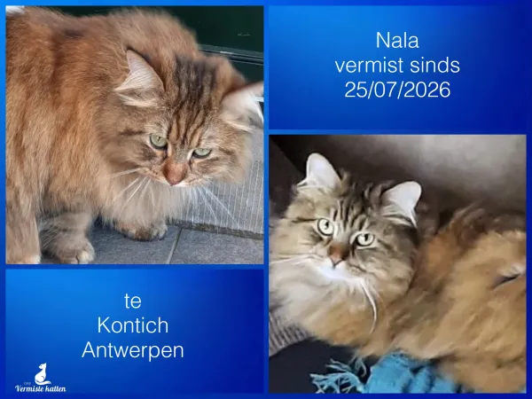 Nala