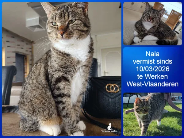 Nala