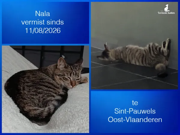 Nala