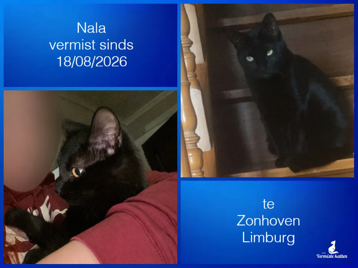 Nala