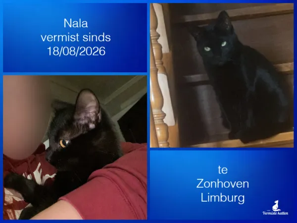 Nala