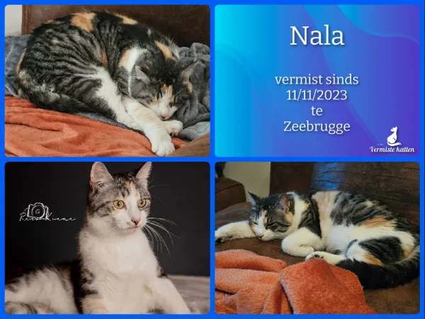 Nala