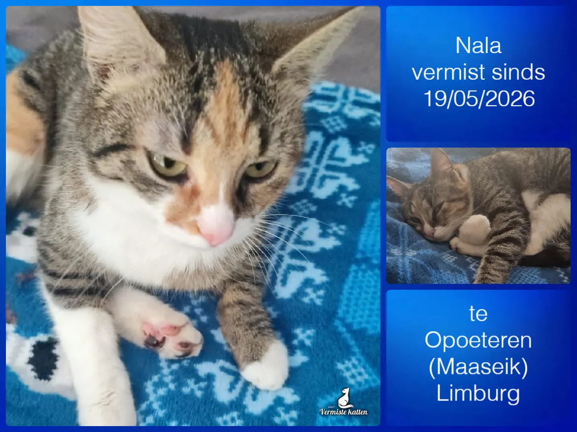 Nala