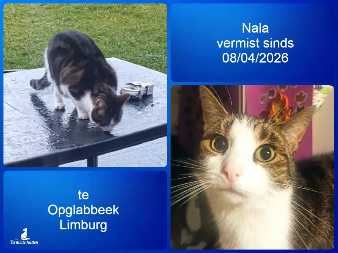 Nala
