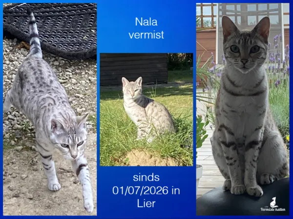 Nala