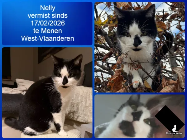 Nelly