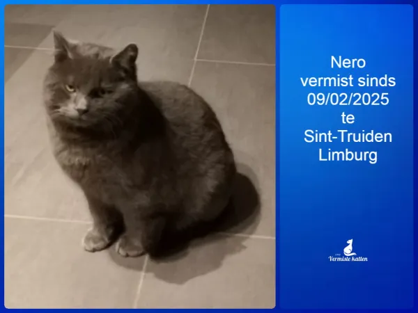 Nero