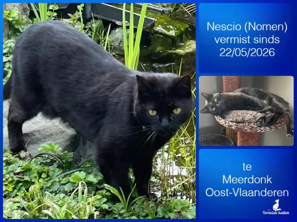 Nescio (Nomen)