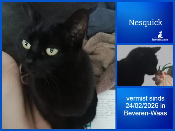 Nesquick