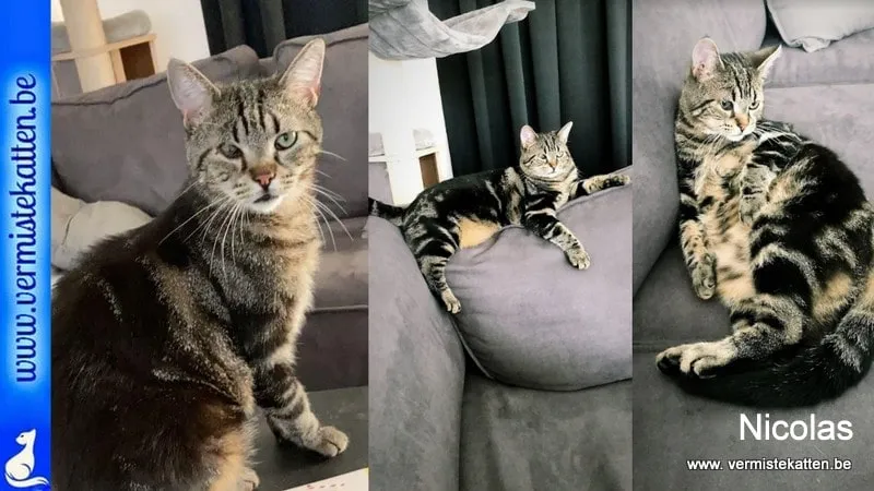 Nicolas