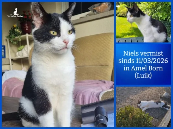 Niels
