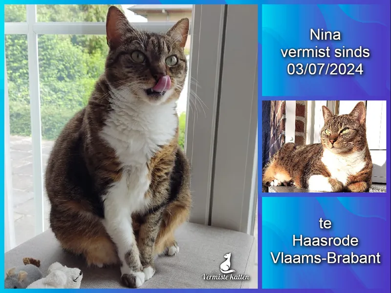 Nina