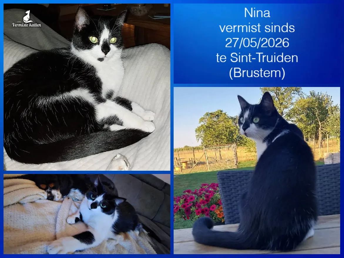 Nina