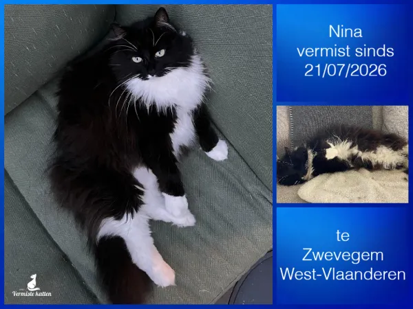 NINA