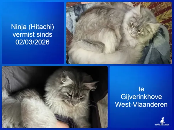 Ninja (passpoort Hitachi)