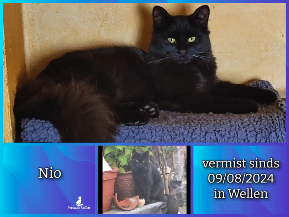 Nio