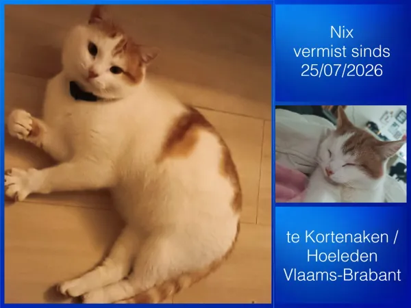 Nix