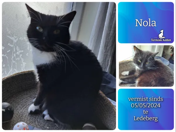 Nola
