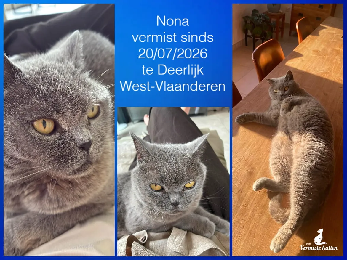 Nona