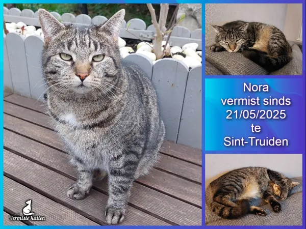 Nora