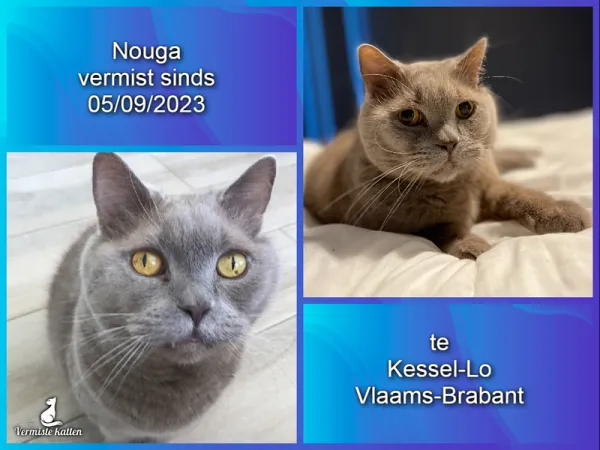 Nouga