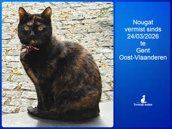 Nougat