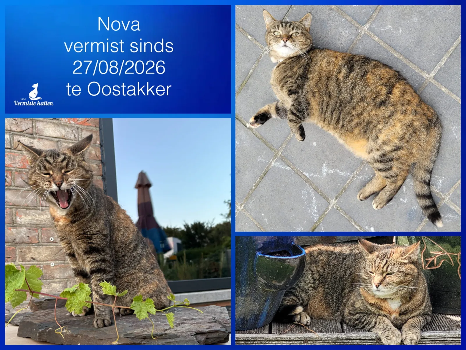 Nova